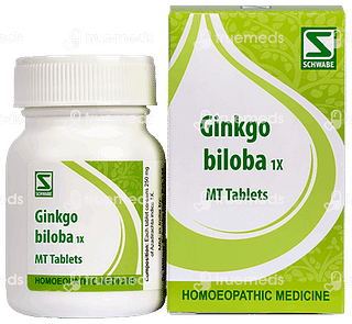 Dr Willmar Schwabe Ginkgo Biloba 1x Mt Tablet 20gm