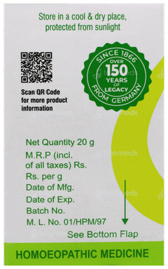 Dr Willmar Schwabe Ginkgo Biloba 1x Mt Tablet 20gm
