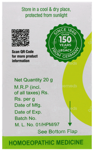 Dr Willmar Schwabe Ginkgo Biloba 1x Mt Tablet 20gm