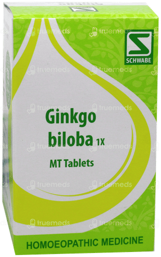 Dr Willmar Schwabe Ginkgo Biloba 1x Mt Tablet 20gm