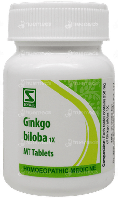 Dr Willmar Schwabe Ginkgo Biloba 1x Mt Tablet 20gm