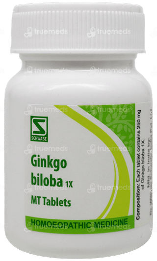 Dr Willmar Schwabe Ginkgo Biloba 1x Mt Tablet 20gm
