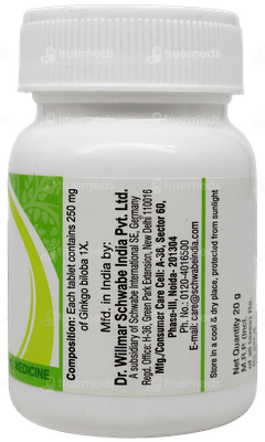 Dr Willmar Schwabe Ginkgo Biloba 1x Mt Tablet 20gm