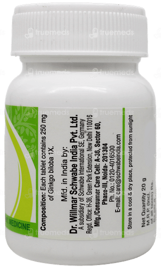 Dr Willmar Schwabe Ginkgo Biloba 1x Mt Tablet 20gm