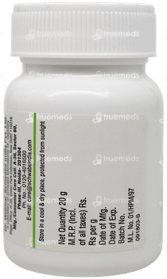 Dr Willmar Schwabe Ginkgo Biloba 1x Mt Tablet 20gm