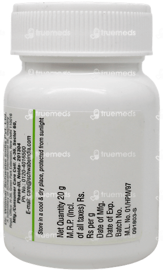 Dr Willmar Schwabe Ginkgo Biloba 1x Mt Tablet 20gm