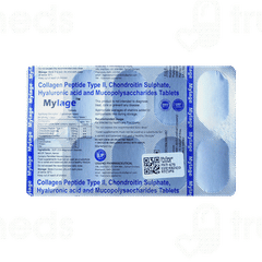 Mylage Tablet 10