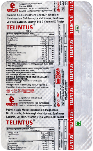 Telintus Tablet 10