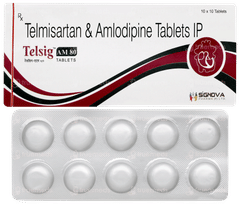 Telsig Am 80 Tablet 10