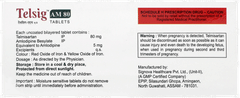 Telsig Am 80 Tablet 10