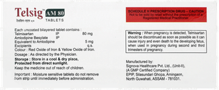 Telsig Am 80 Tablet 10