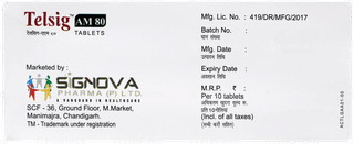 Telsig Am 80 Tablet 10