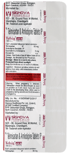 Telsig Am 80 Tablet 10