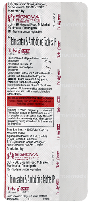 Telsig Am 80 Tablet 10