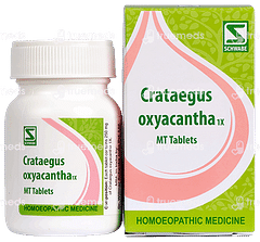 Dr Willmar Crataegus Oxyacantha 1x Mt Tablet 20gm Dr Willmar Crataegus Oxyacantha 1x Mt Tablet 20gm