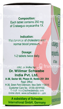 Dr Willmar Crataegus Oxyacantha 1x Mt Tablet 20gm