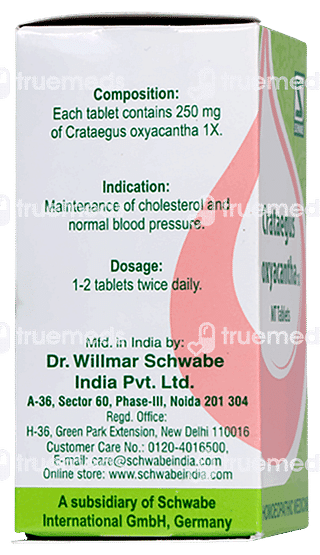 Dr Willmar Crataegus Oxyacantha 1x Mt Tablet 20gm