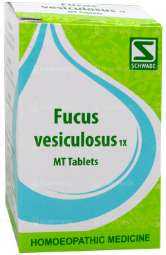 Dr Willmar Fucus Vesiculosus 1x Tablet 20gm