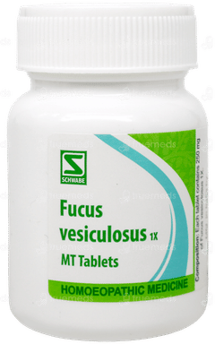 Dr Willmar Fucus Vesiculosus 1x Tablet 20gm
