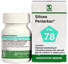 Dr Willmar Silicea Pentarkan Ptk 78 Tablet 20gm