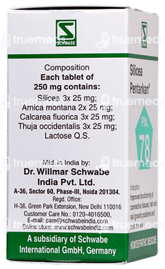 Dr Willmar Silicea Pentarkan Ptk 78 Tablet 20gm