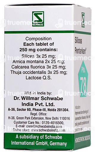 Dr Willmar Silicea Pentarkan Ptk 78 Tablet 20gm