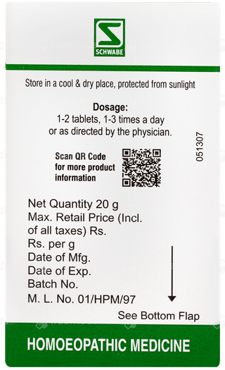 Dr Willmar Silicea Pentarkan Ptk 78 Tablet 20gm