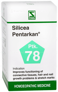 Dr Willmar Silicea Pentarkan Ptk 78 Tablet 20gm