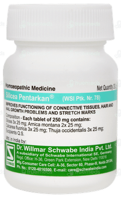 Dr Willmar Silicea Pentarkan Ptk 78 Tablet 20gm