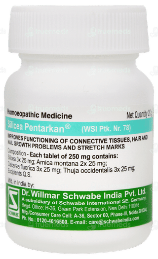 Dr Willmar Silicea Pentarkan Ptk 78 Tablet 20gm