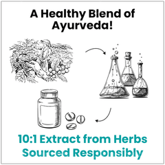 Myupchar Ayurveda Kanchnar Guggulu Tablet 60 Myupchar Ayurveda Kanchnar Guggulu Tablet 60