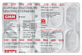 Gmm Tablet 10