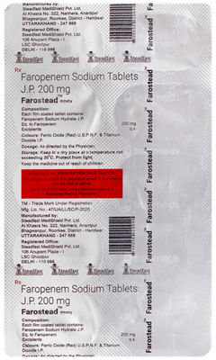 Farostead Tablet 10