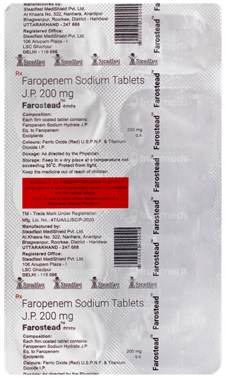 Farostead Tablet 10