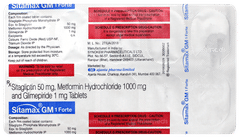 Sitamax GM 1 Forte Tablet 10