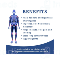 Biolife Joint Life Tablet 30