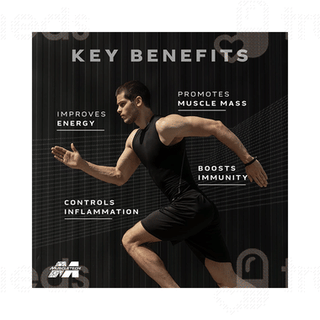 Muscletech Platinum Multi Vitamin Tablet 60