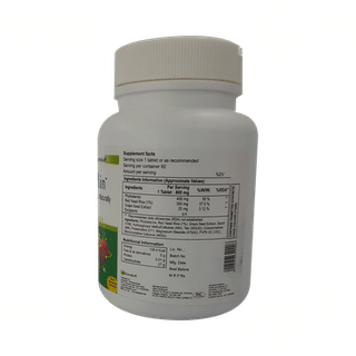 Cholestmin Tablet 60