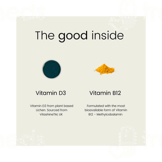 Terravita Daily D3 + B12 Vegetarian Tablet 28