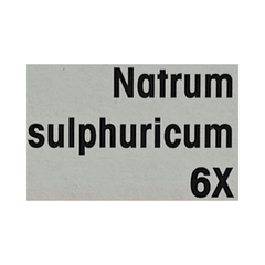 Dr Reckeweg Natrum Sulphuricum 6x Tablet 20gm