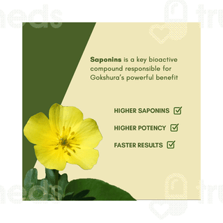 Rasayanam Tribulas Gokhru 60 Tablet 60