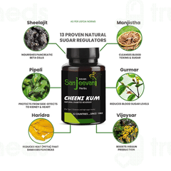 Jeevan Sanjeevani Herbs Cheeni Kum Tablet 120