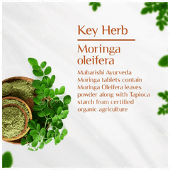 Maharishi Ayurveda Moringa Organic Tablet 60 Maharishi Ayurveda Moringa Organic Tablet 60