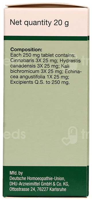 Dr Willmar Schwabe Cinnabaris Pentarkan Ptk 31 Tablet 20Gm