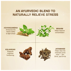 Maharishi Ayurveda Worry Free Tablet 60