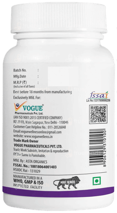 Vogue Wellness Vozi Zinc Gluconate Tablet 60