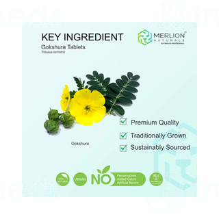 Merlion Naturals Gokshura Tablet 120