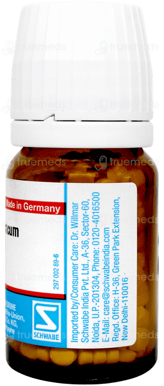 Dr Willmar Schwabe Magnesium Phosphoricum 6x Biochemic Tablet 20gm