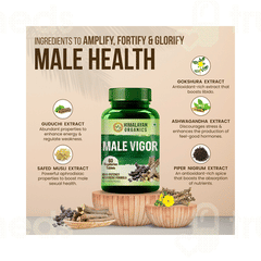 Himalayan Organics Male Vigor Vegetarian Tablet 60