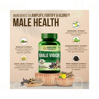 Himalayan Organics Male Vigor Vegetarian Tablet 60